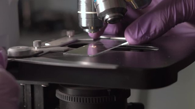 Scientist puts a sample into a microscope then tune its position by moving iti in 3d space and then changes objective lens to get better magnification.