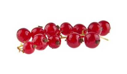 red currant isolated on white background closeup