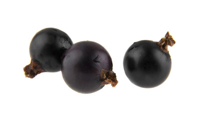 Black currant isolated on white background closeup
