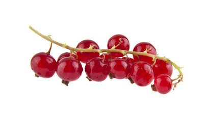 red currant isolated on white background closeup