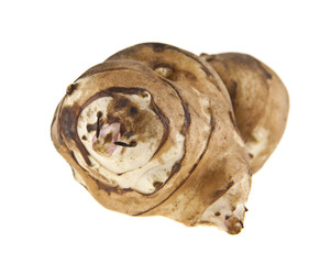 Jerusalem artichoke isolated on white background