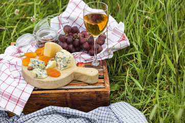 Picnic at the park on the grass