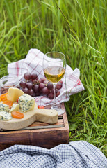 Picnic at the park on the grass