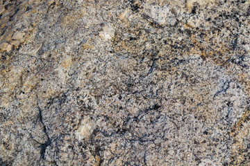 Beautiful colorful beach rock textures from the beaches of Popham, Maine