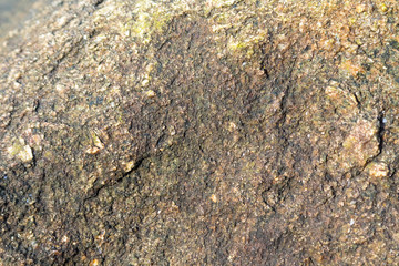 Beautiful colorful beach rock textures from the beaches of Popham, Maine
