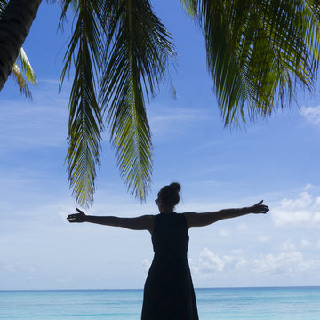 Silhouette Of Female Traveller Under Tropical Palm Tree