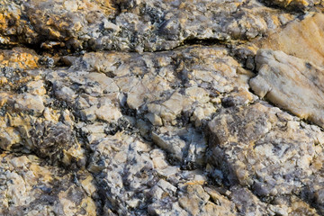Beautiful colorful beach rock textures from the beaches of Popham, Maine