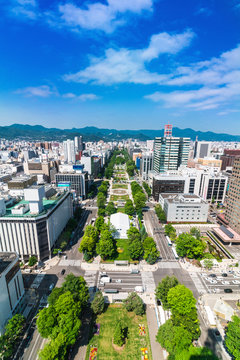Fototapeta 北海道 札幌 大通公園 展望