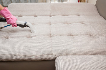 Sofa chemical cleaning with professionally extraction method. Hand in rubber protective glove...