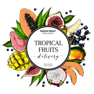 Vector hand drawn smoothie bowls poster. Exotic engraved fruits. Colored icons in round bodrer composition. Banana, mango, papaya, pitaya, fig, acai, guava, pitahaya.