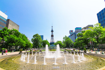 Naklejka premium Park Hokkaido Sapporo Odori