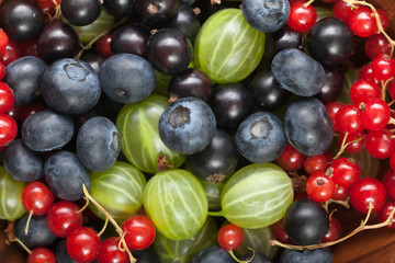 Red black currant blueberry gooseberry