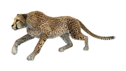 3D Rendering Cheetah on White