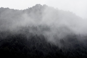 foggy landscape in andorra