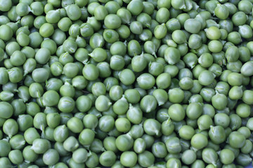 Green Peas Background. Organic Food.