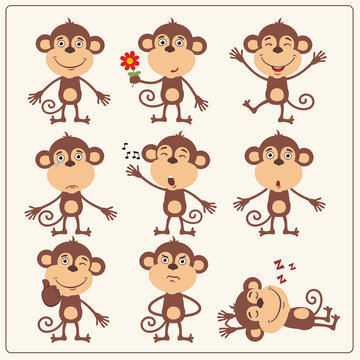 Funny monkey set in different poses. Collection isolated monkey in cartoon style.