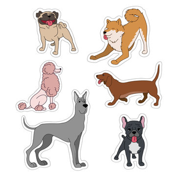 Dogs breeds cartoon stickers set great dane, french bulldog, poodle, husky, dachshund, pug on white vector collection.