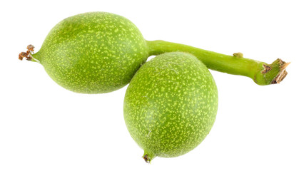 Green walnuts isolated on a white background