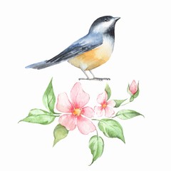 Bird and flowers. Watercolor painting
