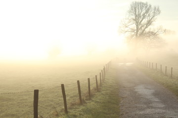 Small road in the morning mist 