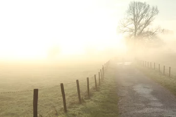 Fototapeten Small road in the morning mist  © Ingrid