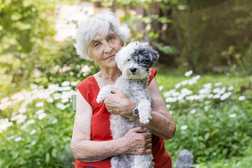 Senior woman hugging her poodle dog in a park with blooming margaritas