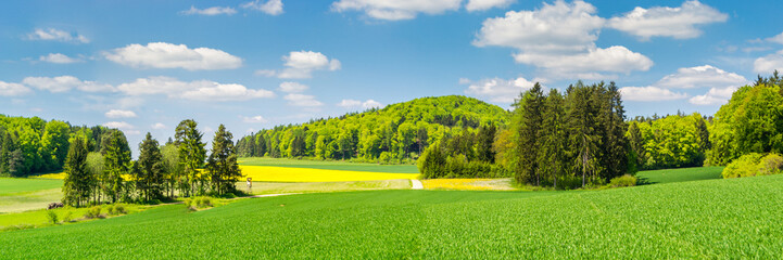 Landscape Bavaria