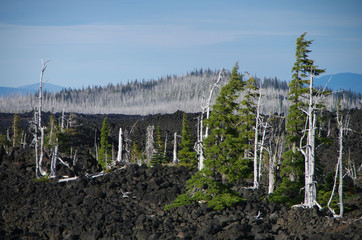 Fototapeta na wymiar Wastelands from McKenzie pass, Oregon