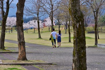 春の公園を散歩するカップル