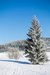 Winter landscape in dolnoslaskie region, Poland