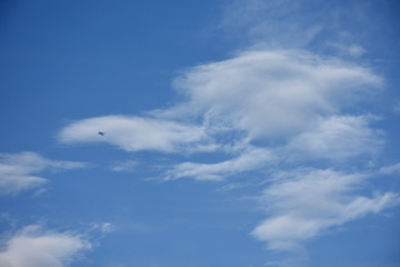 Fototapeta na wymiar 飛行機と青空と雲「空想・現れはじめた雲のモンスター」不思議、現れる、未来、成功、約束などのイメージ