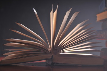 An open book in vintage style