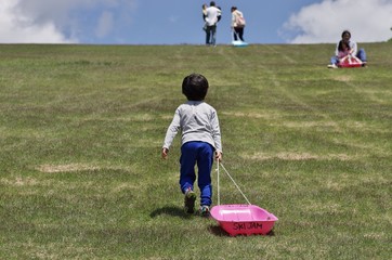 Fototapeta premium 夏の高原でそり遊びをする子供たち