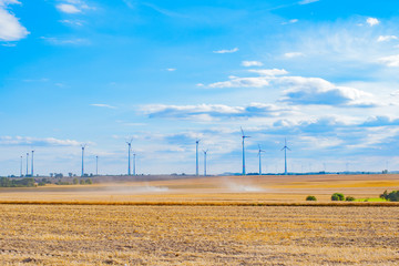 das biomalz auf den feld und blaue himmel