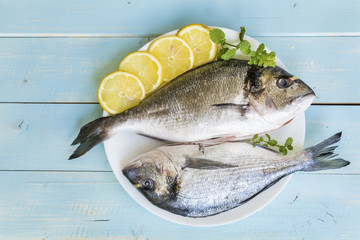 Fresh sea bream raw fish with lemon 