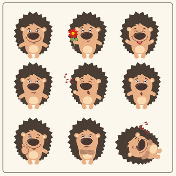 Funny hedgehog set in different poses. Collection isolated hedgehog in cartoon style.