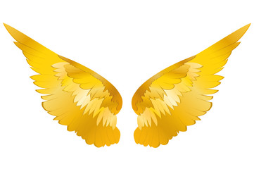 Wings. Vector illustration on white background. Golden metal