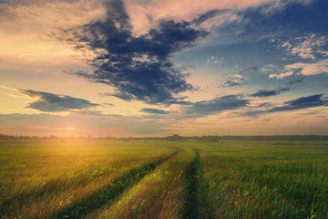 Fototapeta na wymiar Landscape with country road in grassland over sunset