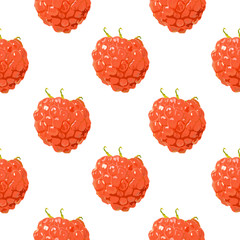 seamless vector pattern with hand drawn raspberry on white background
