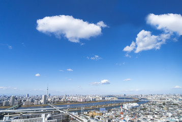 東京都市風景　快晴青空　東京スカイツリーと周辺の町並み