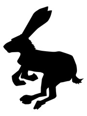hare, symbol of cowardice