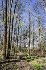 Old water tower in a spring forest