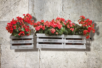 Fototapeta na wymiar Wooden flowers boxes against an old brick wall - Home sweet home