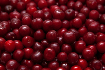 Cherry background