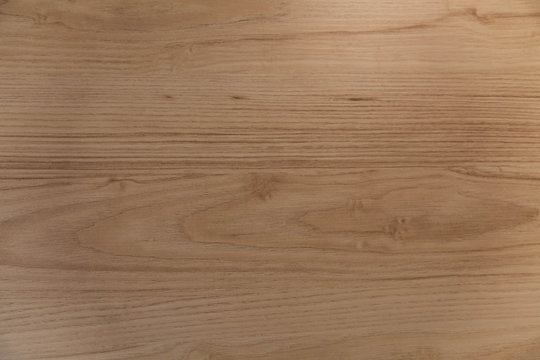 nature wood background