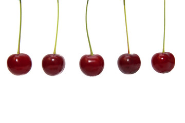 Red cherry on a white background