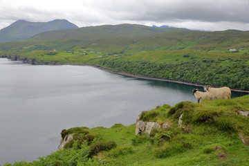 View from the mountain Ben Tianavaig towards Tianavaig Bay, Isle of Skye, Highlands, Scotland, UK