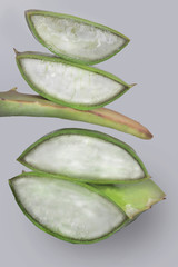 Aloe Vera Pflanze durchgeschnitten