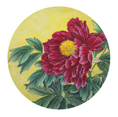 Delicate red peony - 163384187