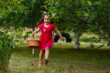 Little girl is carrying a basket of strawberries